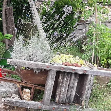 L' Antica Macina Panzió 3*