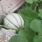 L' Antica Macina B&B