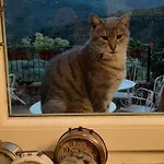 B&B L' Antica Macina