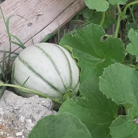 L' Antica Macina Bed & Breakfast