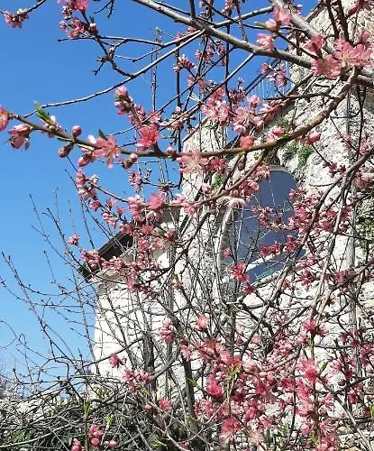 Bed & Breakfast L' Antica Macina 3*