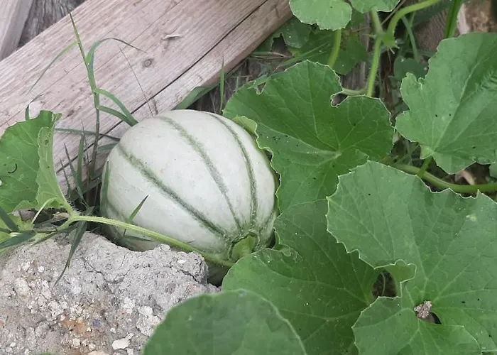 L' Antica Macina Bed & Breakfast