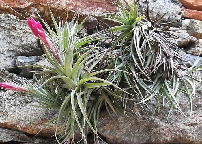 L' Antica Macina Отель типа 