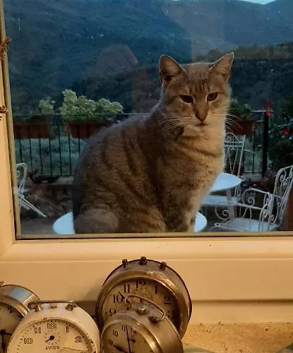 Bed & Breakfast L' Antica Macina