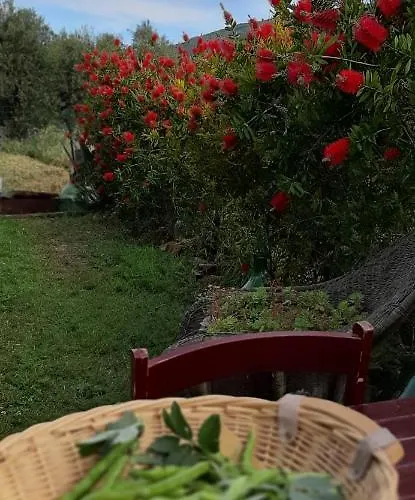 Bed & Breakfast L' Antica Macina Quiliano